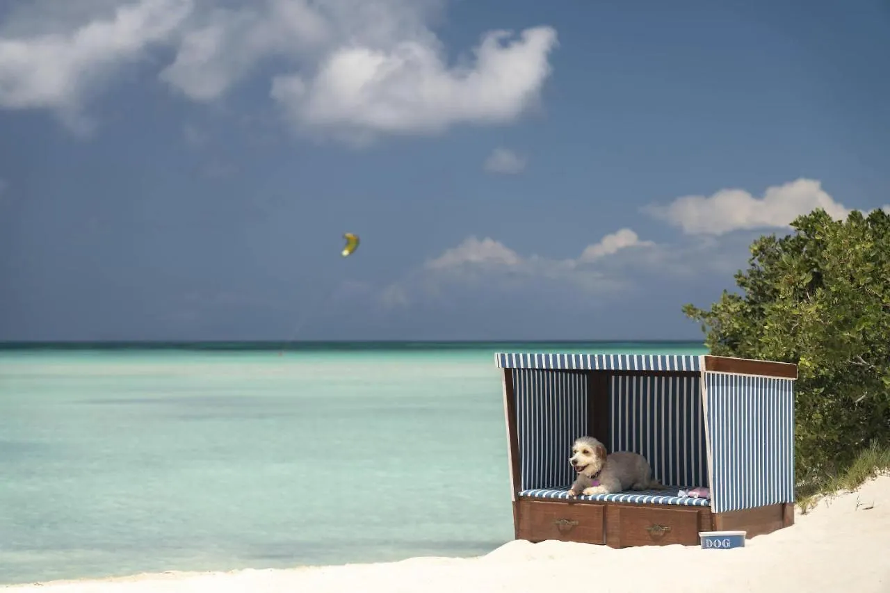 The Ritz-Carlton, Aruba Hotel Palm Beach